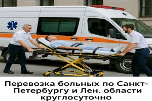 Перевозка больных по Санкт-Петербургу и Ленинградской области круглосуточно: организация, особенности и правила транспортировки пациентов