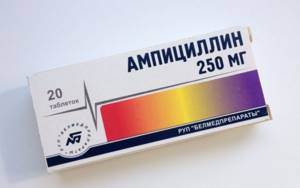 Ampicillin for furunculosis