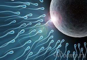 favorable positions for conceiving a child