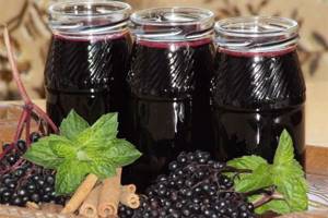 black elderberry medicinal properties for cancer