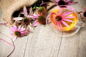 Echinacea tea for immunity