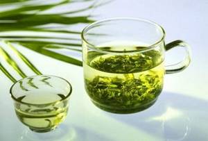 How green tea can harm the female body - contraindications