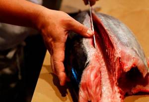 Making fillets from large fish
