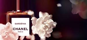 Chanel Gardenia perfume