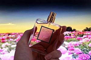 Chanel perfume mademoiselle fragrance description