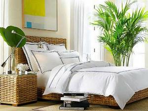 exotic plants in the bedroom