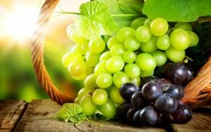 https://budtezzdorovy.ru/ healing properties of grapes for hair