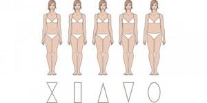 infographics female body types