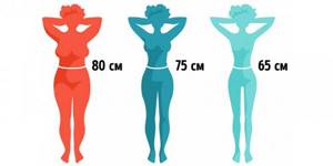 infographics thin waist