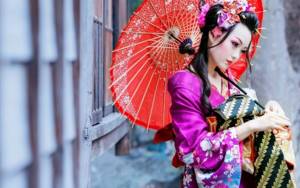 interesting things about geisha schools