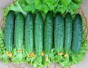 Why do you dream of fresh, juicy green cucumbers and what do popular dream books say about such dreams?