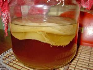 How to transplant kombucha to another jar