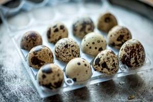 How to drink quail eggs correctly