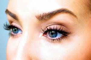 How do eyelashes work?
