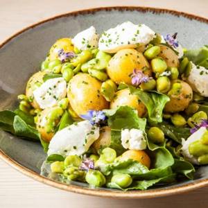 Potato salad with sorrel and goat cheese - recipe with photo