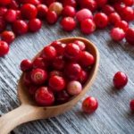 Cranberry health benefits and harms