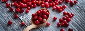 Cranberry health benefits and harms