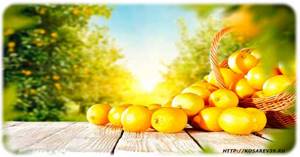 Who are citrus fruits contraindicated for?