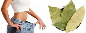 Bay leaf for weight loss