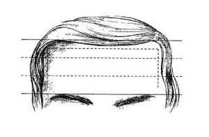 Лоб и линия роста волос по Сианг Мин