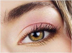 Makeup for blonde green eyes. Makeup for blondes with green eyes 