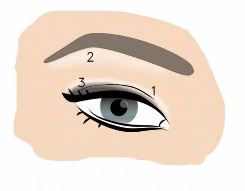 Eye makeup for beginners