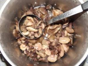 Marinade for mushrooms. Universal marinade recipes 