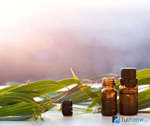 Eucalyptus oil for oily hair care
