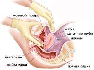 uterus after childbirth