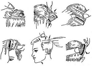 The diagram shows the location of the brush and hair dryer on different parts of the head.