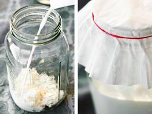 pour milk and cover the jar with gauze