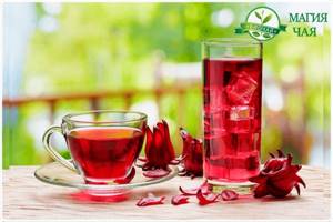 hibiscus infusion