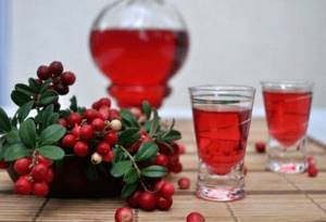 Lingonberry tincture with vodka