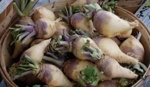 Despite the beneficial properties of rutabaga, there are also contraindications to its use.