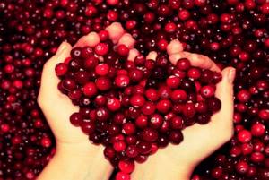 About cranberries for pregnant women