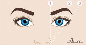Determining the length of the eyebrow