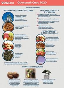Nut rescue 2020 - do&#39;s and don&#39;ts - infographics