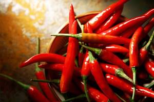 Hot red chili pepper