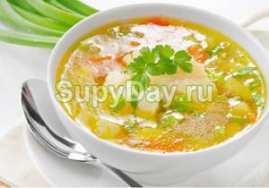 Vegetable soup with chicken and noodles