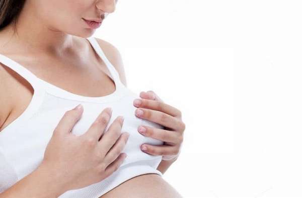 Why do stretch marks appear on the breasts during pregnancy?