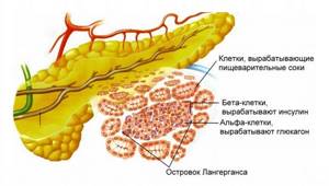 Pancreatic hormones