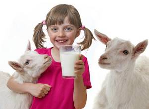 The benefits of goat milk for the body. Who benefits from domestic goat milk? Application 