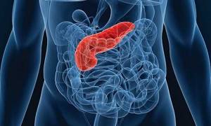 The destruction of pancreatic cells is always accompanied by spasms, which indicate the presence of a serious disease