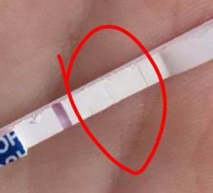 Pregnancy test reagent. Photo, what it is, how to distinguish it, what it looks like 