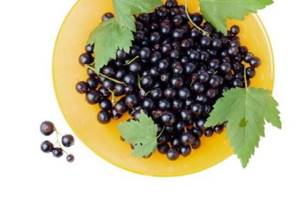 Regular consumption of currants is very beneficial