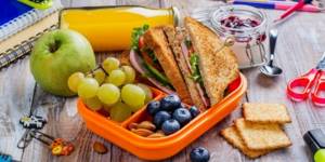 School-lunch-box-what-to-feed-a-schoolchild-children-dietology-Academy-Wellness-Consulting