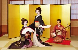 what is geisha school