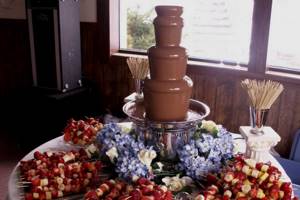 Шоколадный фонтан Виктории Бэкхэм