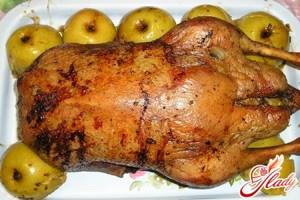 juicy duck with apples in a slow cooker