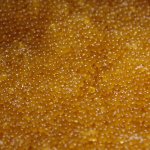 Methods for salting caviar at home